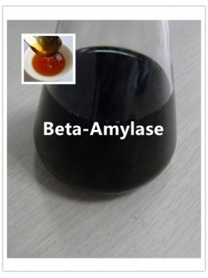 Beta-Amylase