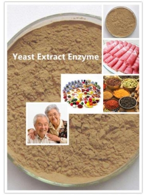 Yeast Extract Enzyme