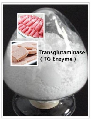 TG Enzyme(Transglutaminase)