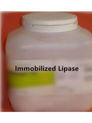 Immobilized Lipase