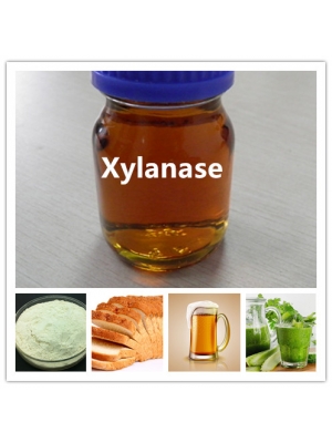 Xylanase for Bakery, Berewery, Ethanol, etc. Production