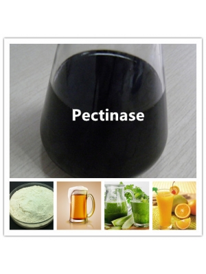 Pectinase for Brewery, Beverage, etc.
