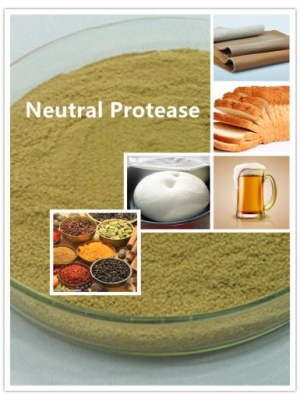 Neutral Protease