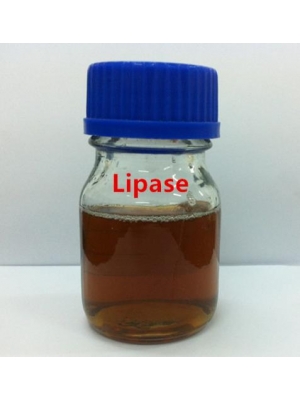 Biodiesel Lipase