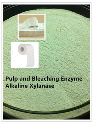 Pulp& Paper Making Enzymes