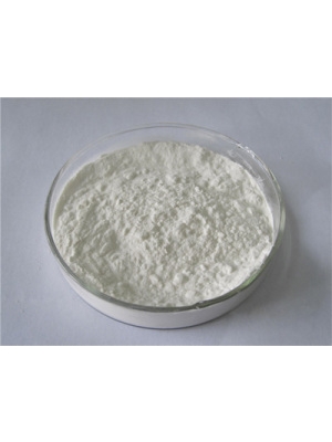 Pharmaceutical Enzyme