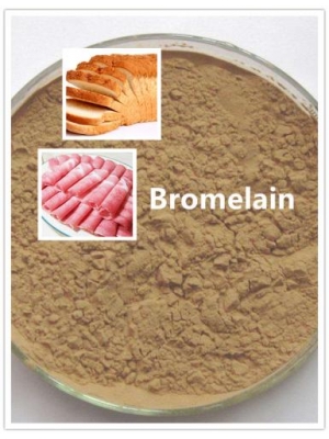 Papain Enzyme