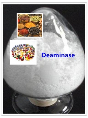 Deaminase Enzyme