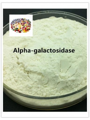 Alpha-galactosidase Enzyme