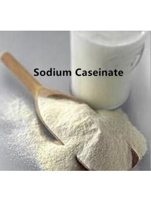 Food Additive Sodium Caseinate