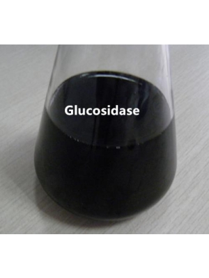 Transglucosidase Enzyme