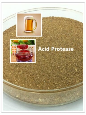 Acid Protease Enzyme