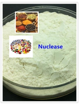 Nuclease Enzyme