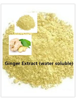 Ginger Extract (Water Soluble)