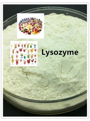 Enzyme Lysozyme