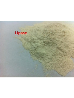 Enzyme Lipase