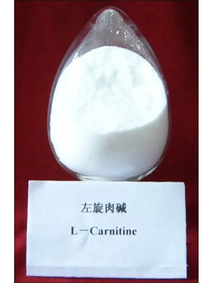 L-Carnitine