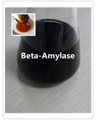 Beta-Amylase