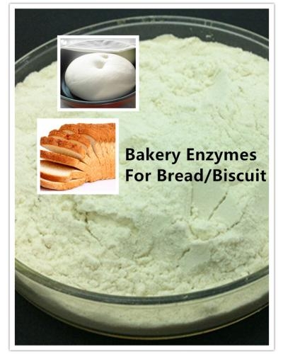 Bakery Enzymes