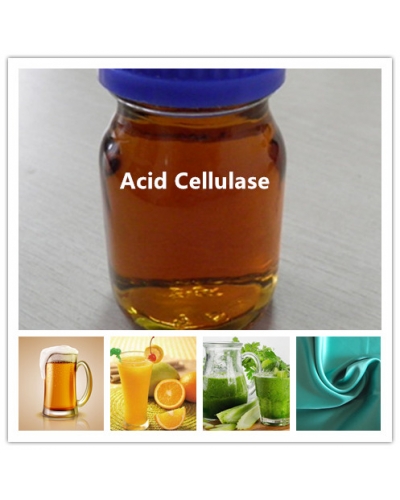 Acid Cellulase for Bakery, Brewery, Beverage,Textile, ect.