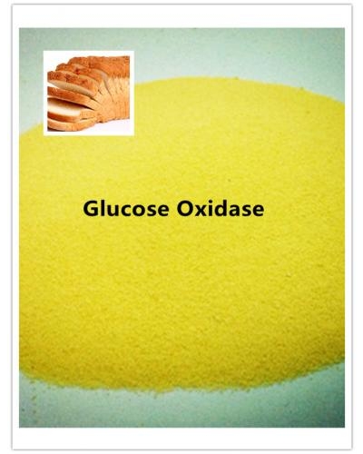 Glucose Oxidase Enzyme for Bakery, Brewery, etc.