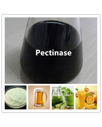 Pectinase for Brewery, Beverage, etc.