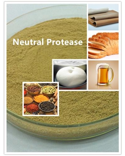 Neutral Protease