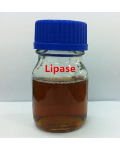 Biodiesel Lipase