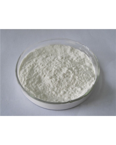Pharmaceutical Enzyme