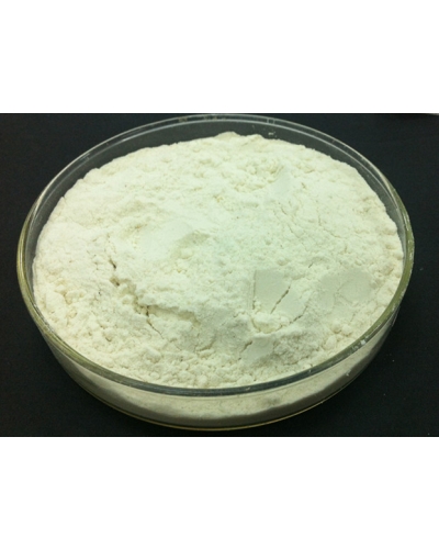 Lysozyme Enzyme