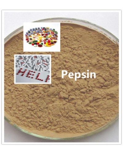 Pepsin Powder