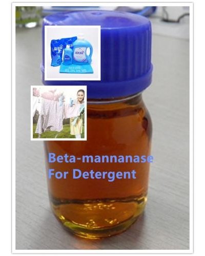 Beta-Mannanase Enzyme