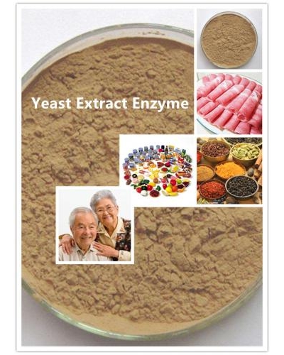 Yeast Extract Enzyme