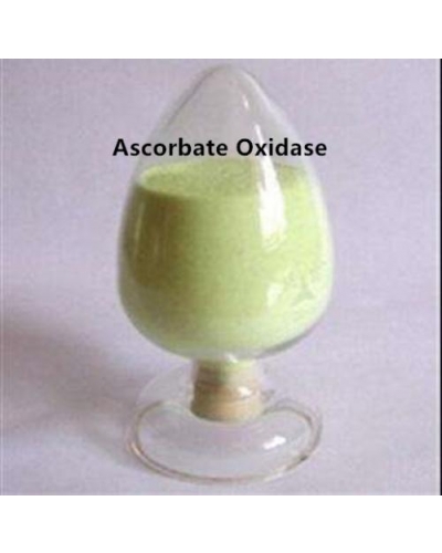 Ascorbate Oxidase Enzyme