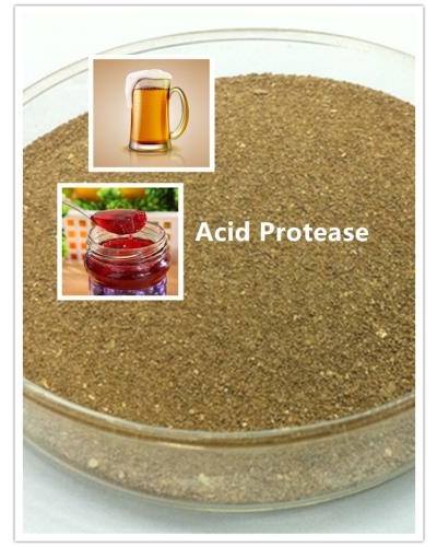 Acid Protease Enzyme